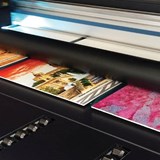 Palboard Print